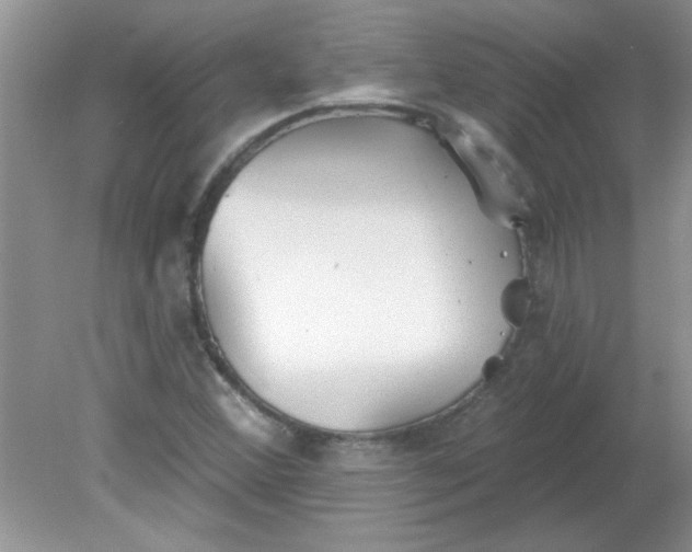 X0000081601356200701291350