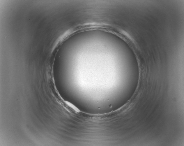 X0000081601357200701291350