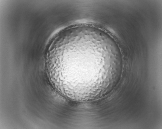 X0000081601358200701291350