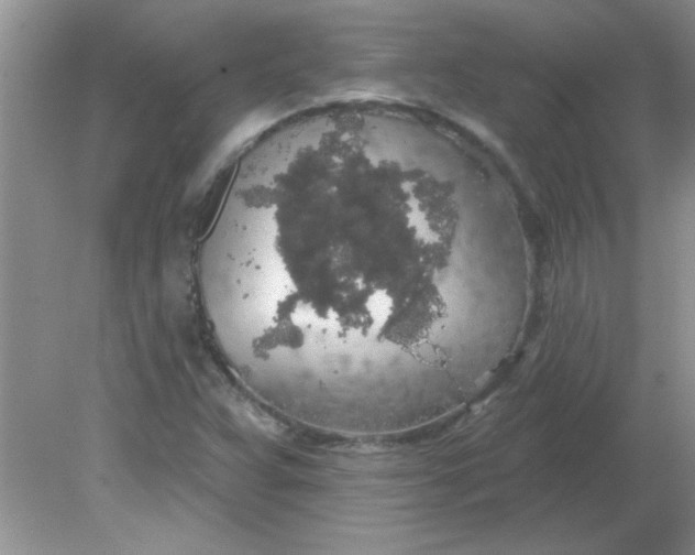 X0000081601359200701291350