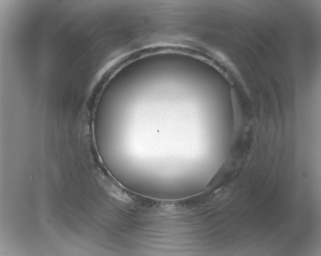 X0000081601360200701291350