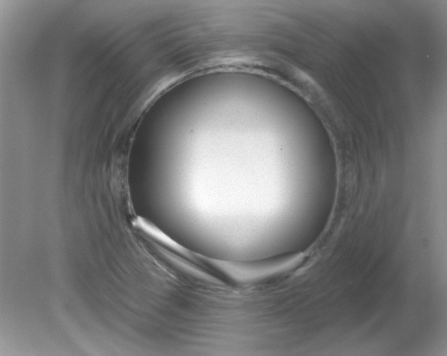 X0000081601361200701291350