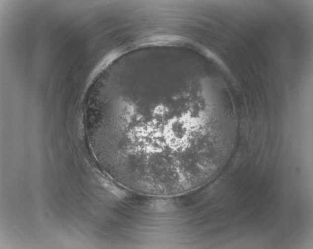 X0000081601362200701291350