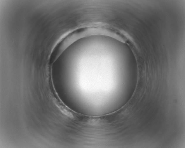 X0000081601364200701291350