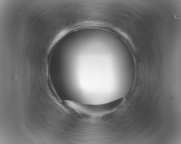 X0000081601365200701291350