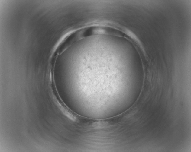 X0000081601368200701291350