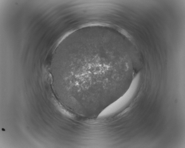 X0000081601369200701291350