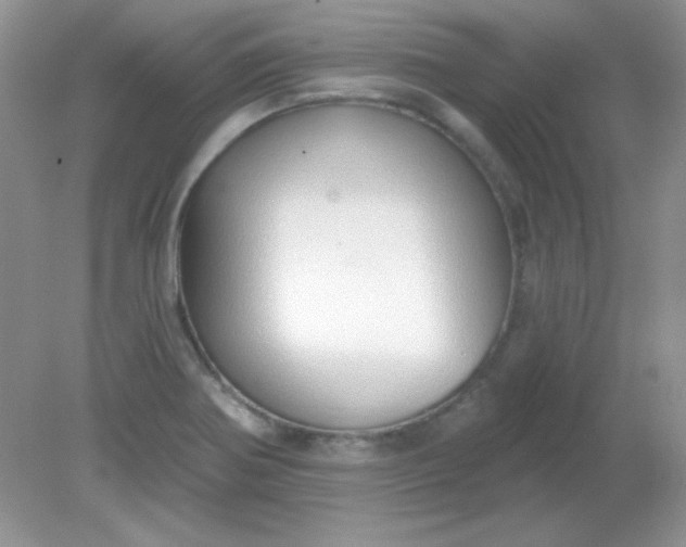 X0000081601370200701291350