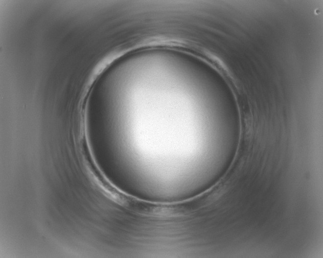 X0000081601371200701291350