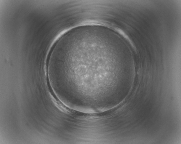 X0000081601372200701291350