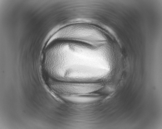 X0000081601373200701291350