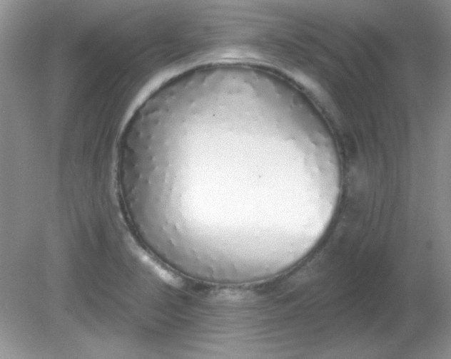 X0000081601374200701291350