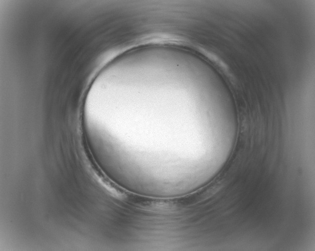 X0000081601375200701291350