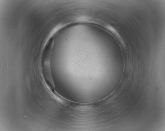 X0000081601376200701291350