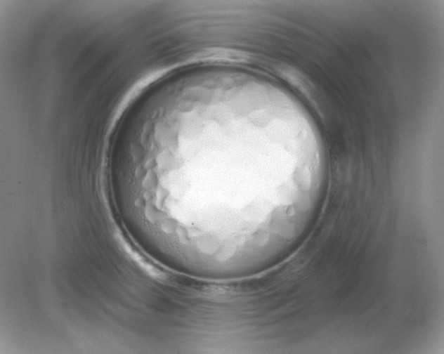 X0000081601379200701291350