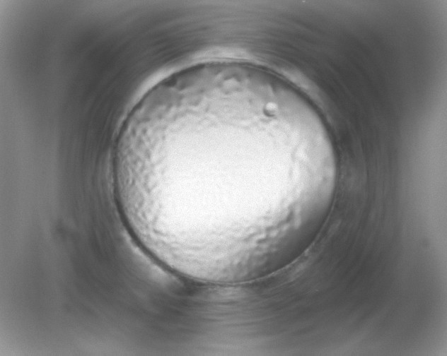 X0000081601382200701291350