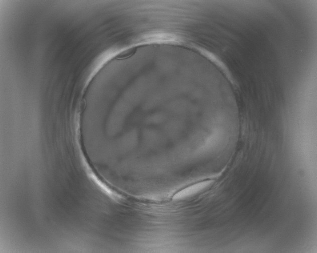 X0000081601383200701291350