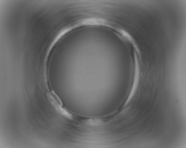 X0000081601384200701291350