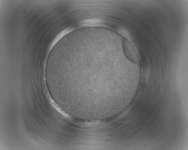 X0000081601386200701291350