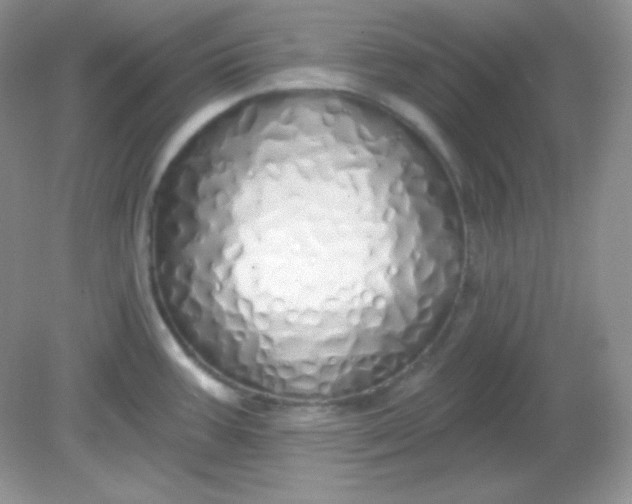 X0000081601387200701291350