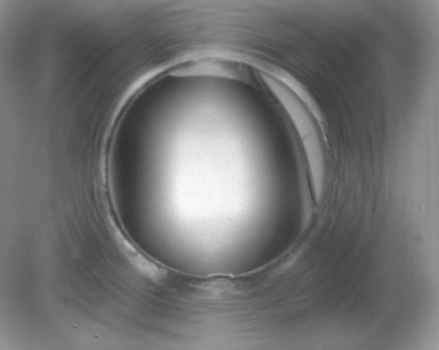 X0000081601388200701291350