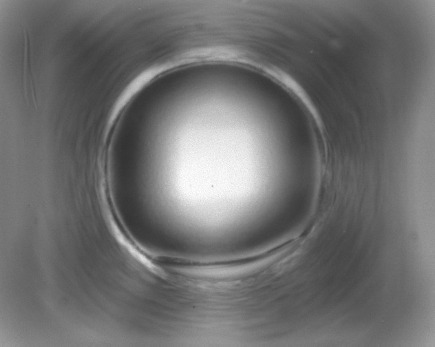 X0000081601389200701291350