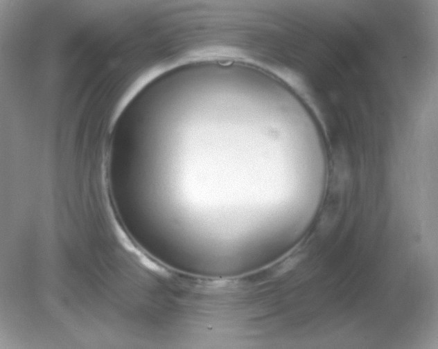 X0000081601390200701291350