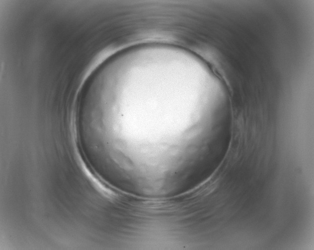 X0000081601391200701291350