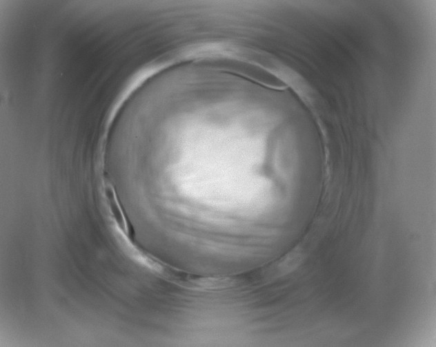 X0000081601392200701291350