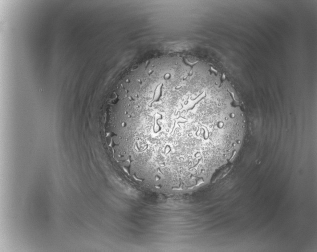 X0000081601393200701291349