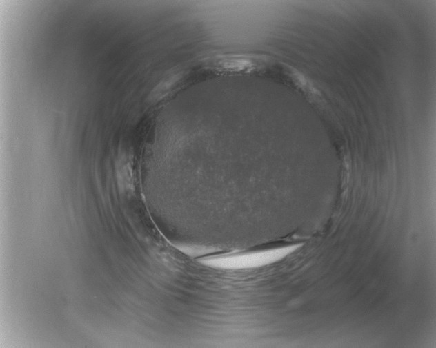 X0000081601394200701291349