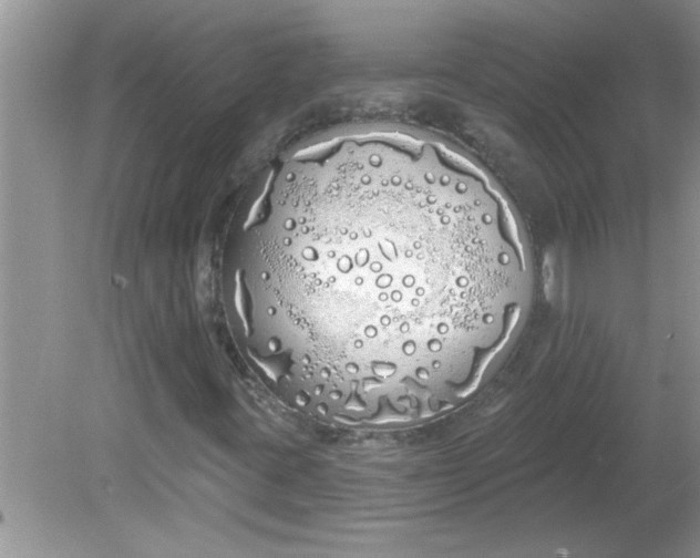 X0000081601395200701291349