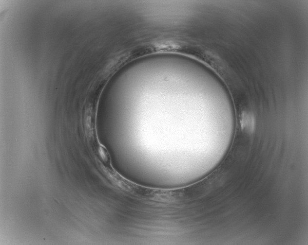 X0000081601396200701291349