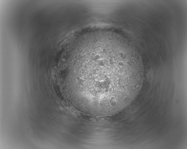 X0000081601397200701291349