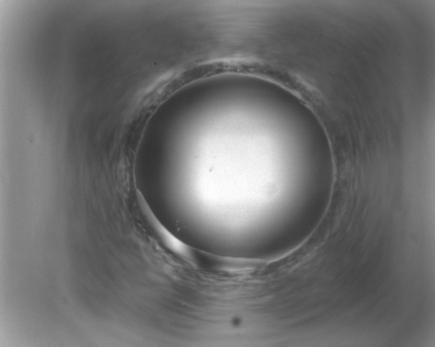 X0000081601398200701291349