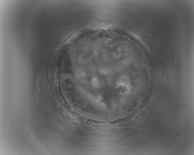 X0000081601399200701291349