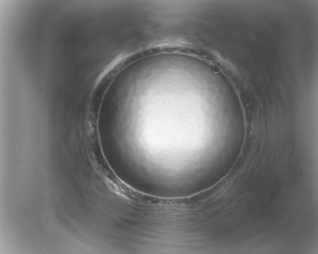 X0000081601400200701291349