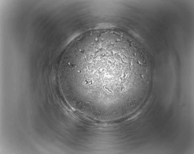 X0000081601401200701291349