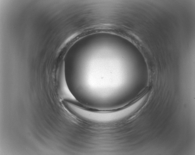 X0000081601402200701291349