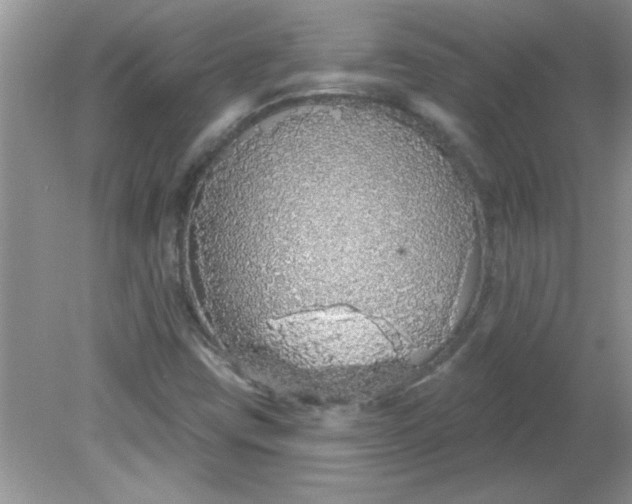 X0000081601403200701291349