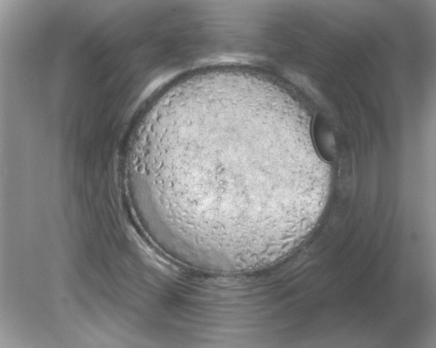 X0000081601404200701291349