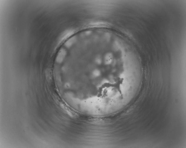 X0000081601405200701291349