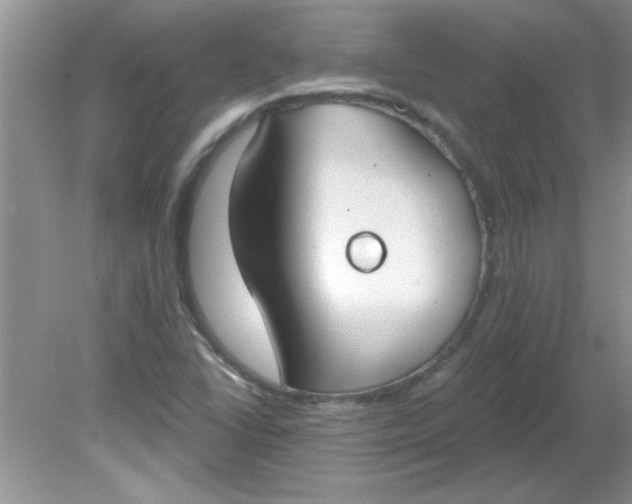 X0000081601406200701291349