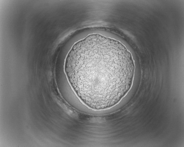 X0000081601407200701291349