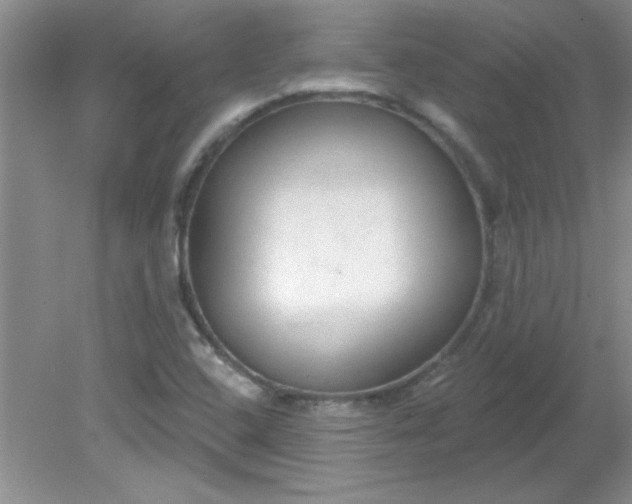 X0000081601408200701291349