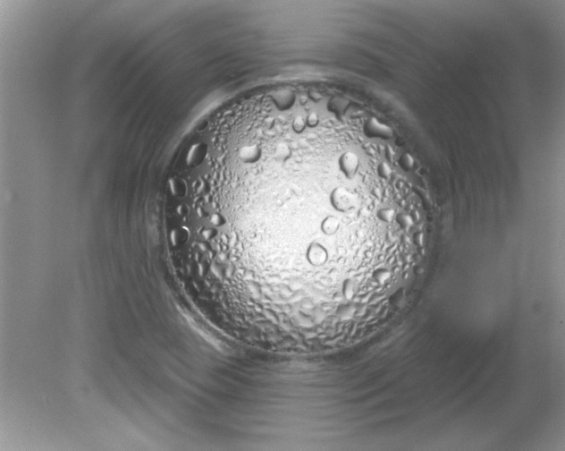 X0000081601409200701291349