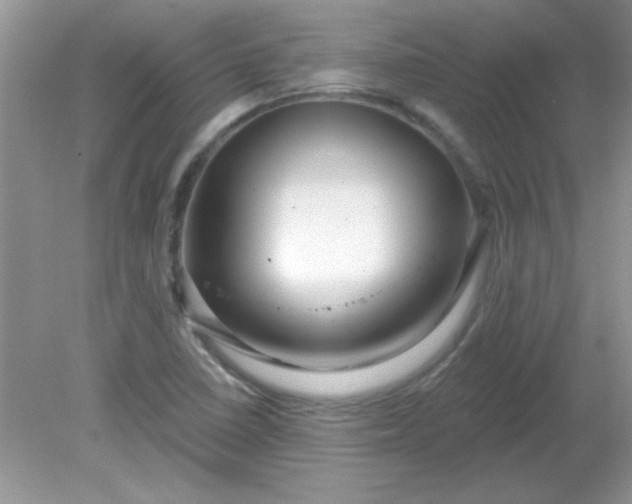 X0000081601410200701291349