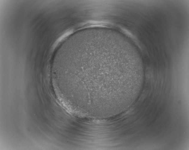 X0000081601411200701291349