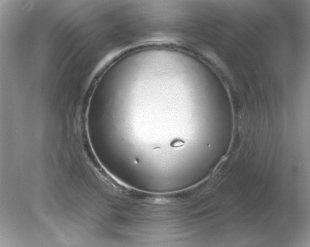 X0000081601412200701291349