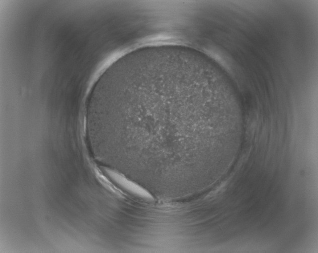 X0000081601413200701291349